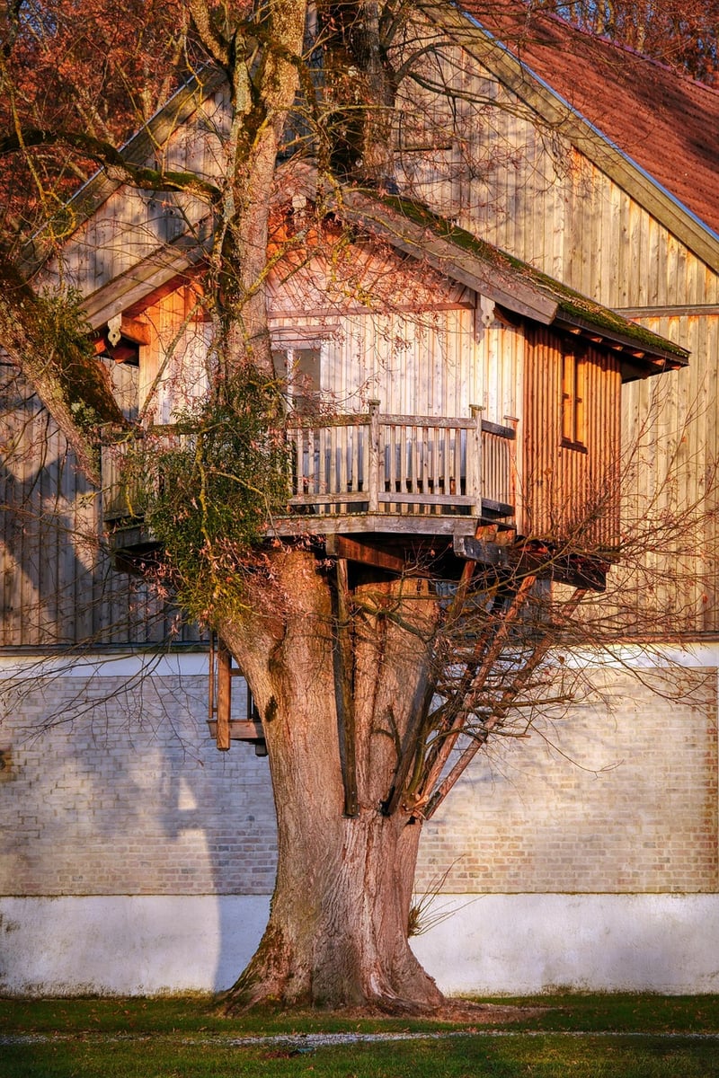 Treehouse Lodges